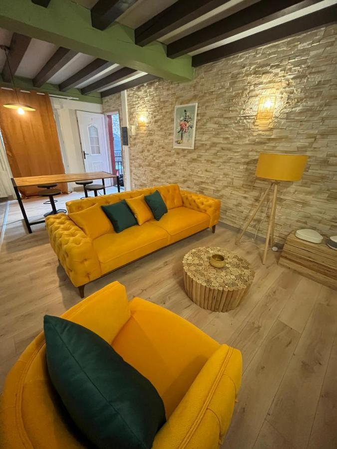 Appart Hotel Le 8 Le Duplex Mâcon Exteriör bild